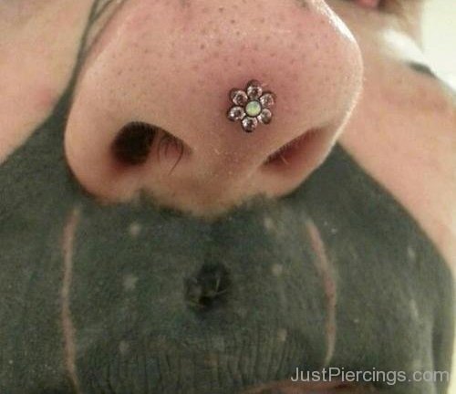 Rhino Piercing With Standard Placement-JP12323