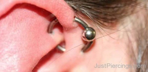 Silver Bead Ring Orbital Piercing For Girls-JP12367