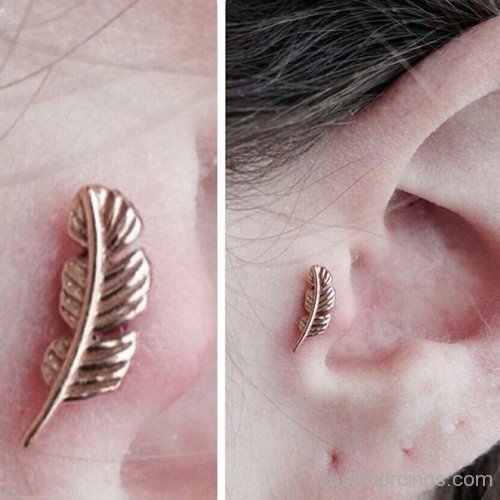 Beautiful Feather Piercing