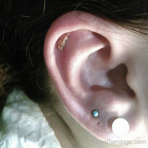 Double Lobe And Feather Stud Forward Helix Piercing