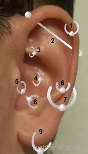 Middle Cartilage Piercing