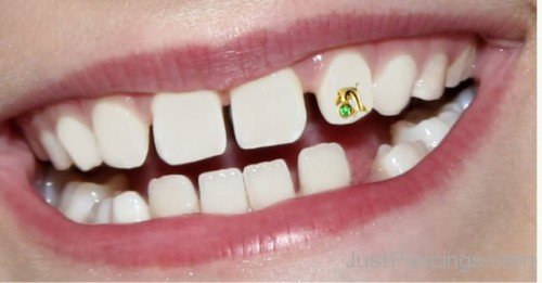 Nice Gold Dolphin Stud Tooth Piercing