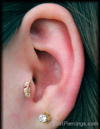 Tragus And Faether Piercing