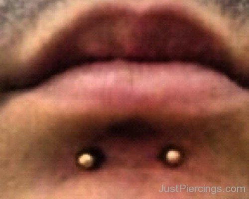 Dolphin Bites Piercing With Golden Studs-JP115