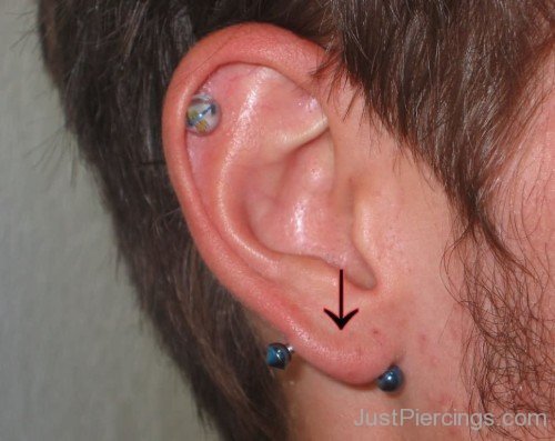 Cartilage And Transverse Lobe Piercing For Men-JP114