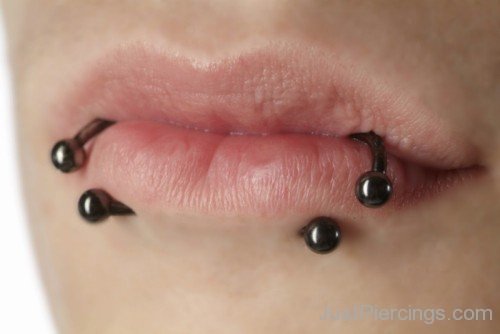 Lower Lip Shark Bites Piercing With Black Circular Barbells-JP138