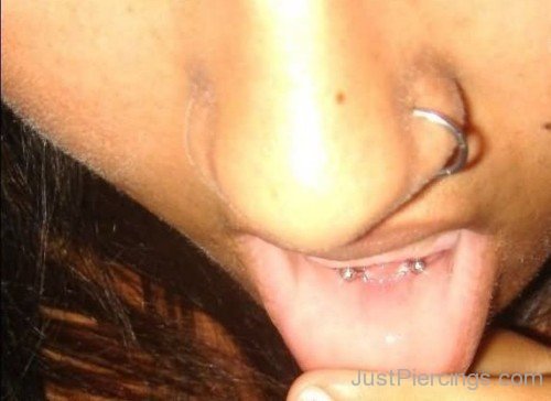 Nose And Frowny Piercing Image-JP135