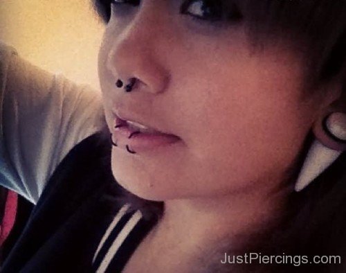 Septum And Dolphin Bites Piercing-JP155