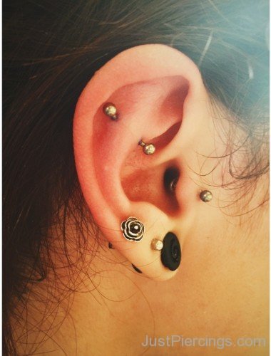 Snug And Rook Piercing Picture-JP1123