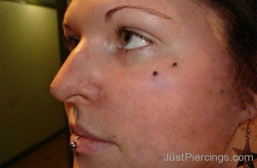 Anti Eyebrow Piercing With Black Studs-JP1011