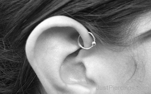 Anti Helix Piercing with Ball Closure Ring-JP1033