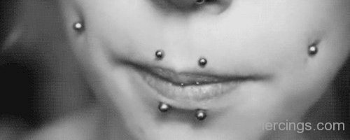Canine Bites Piercing And Dimple Piercing-JP1023