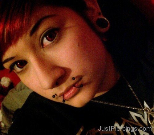 Lobe Stretching, Septum And Canine Bites Piercing Image-JP14075