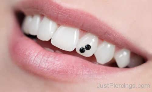 Black Studs Double Tooth Piercing-JP107
