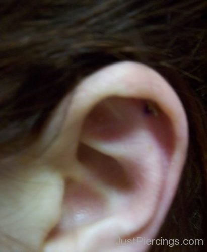 Catilage Ear Piercing-JP1068