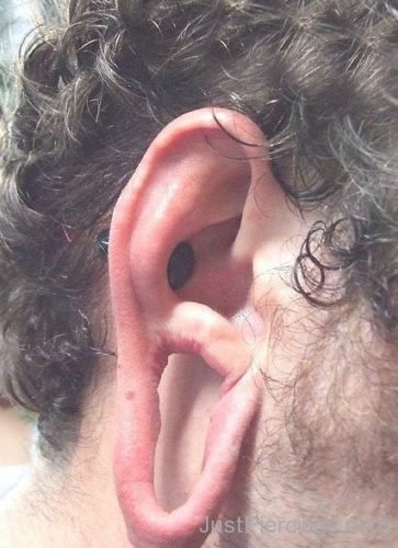 Conch Piercing For Guys-JP1063