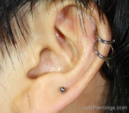 Dual Cartilage And Conch Piercing-JP1078