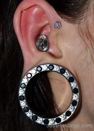 Forward Helix Conch Piercing And Lobe Stretching-JP1099