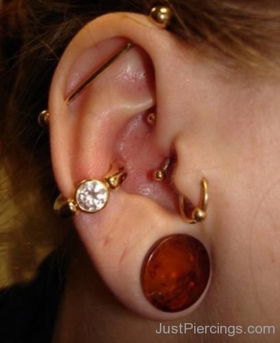 Industrial,Tragus,Lobe And Conch Piercing 1-JP1118