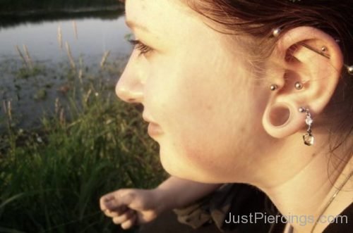 Industrial,Tragus,Lobe And Conch Piercing-JP1119