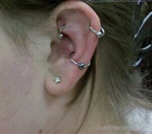 Lobe, Conch, Rook And Catilage Piercing-JP154