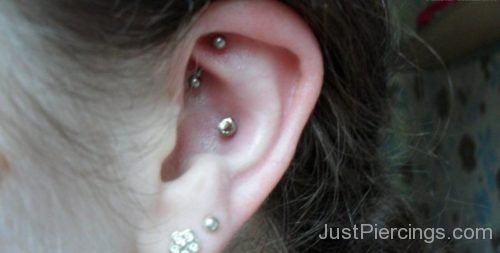 Rook Lobe And Conch Piercing-JP1155