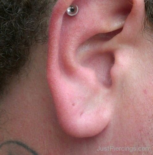 Single Cartilage Ear Piercing-JP1110