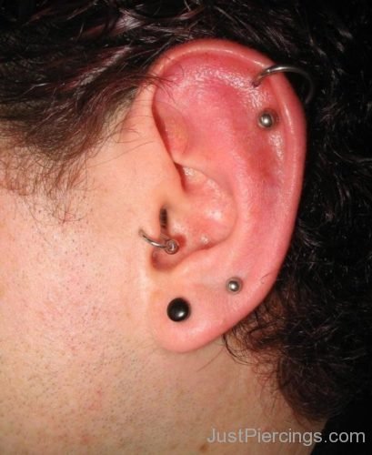 Spiral Cartilage, Tragus,And Lobe Piercing-JP165