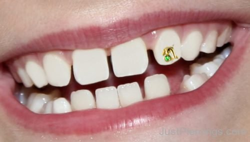 Tooth Piercing Jewelry-JP141