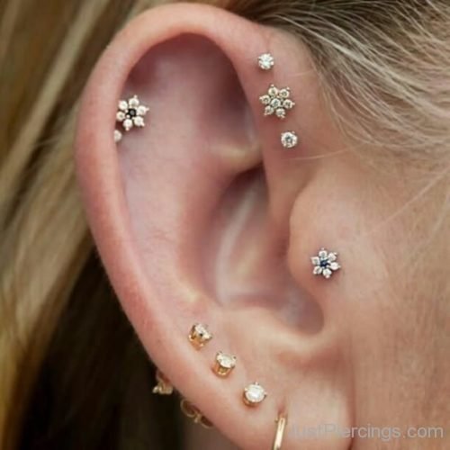 Tragus And Cartilage Piercing With Flower Stud-JP158