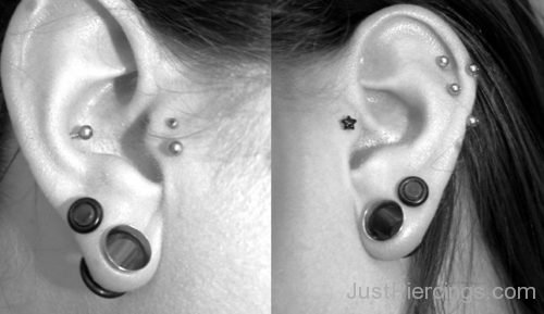 Tragus, Conch And Lobe Stretching Piercing-JP1192