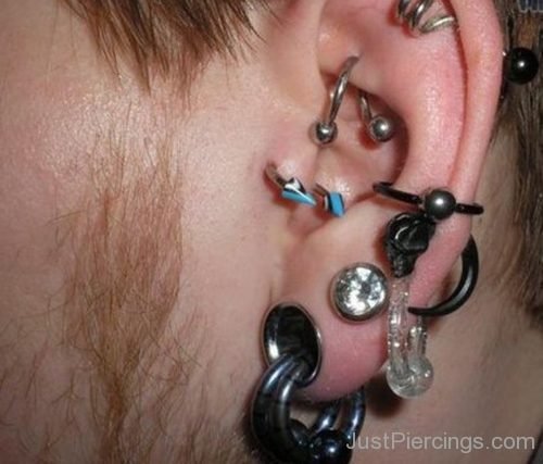 Tragus, Conch And Stretched Lobes Piercing-JP1167