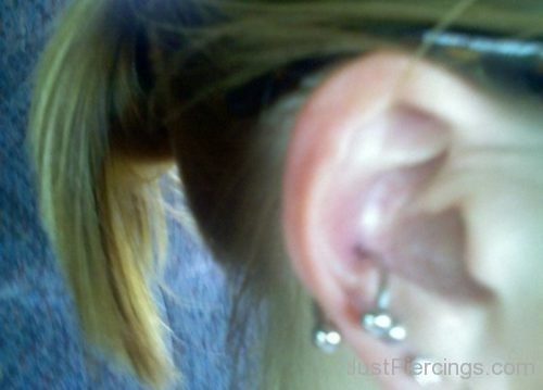 Trendy Conch  And Lobe Piercing-JP1168