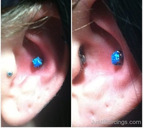 Blue Stud Conch Ear Piercing-JP1002