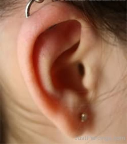Captive Bead Ring Cartilage and Lobe Ear Piercing-JP1061