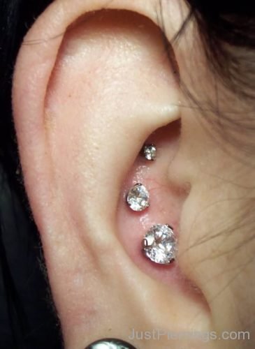Closeup Tripple Conch Crystal Studs Ear Piercing-JP1098