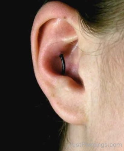 Conch Ear Piercing 253-JP1037