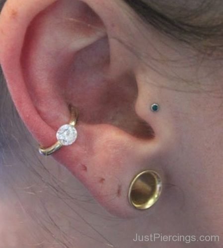 Conch Piercing And Ear Lobe Stretching