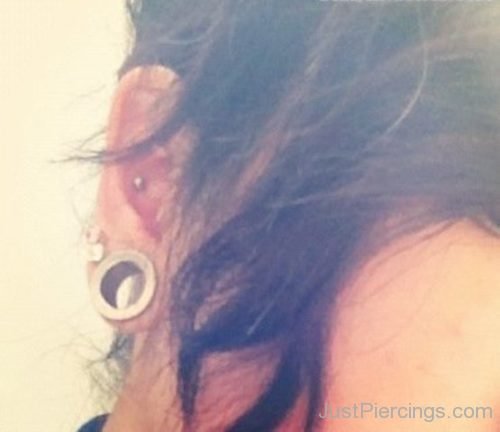 Conch Piercing And Ear Stretching-JP1058