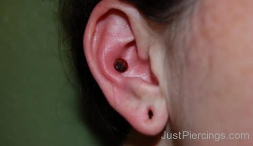 Conch Piercing And Lobe For Girls-JP1062