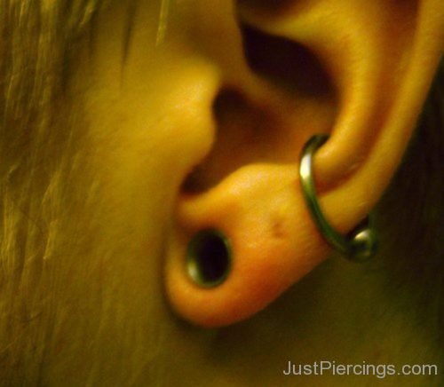 Conch Piercing And Lobe Stretching 58-JP1038