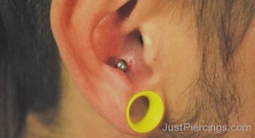 Conch Piercing And Lobe Stretching With Yellow Gauge-JP1071