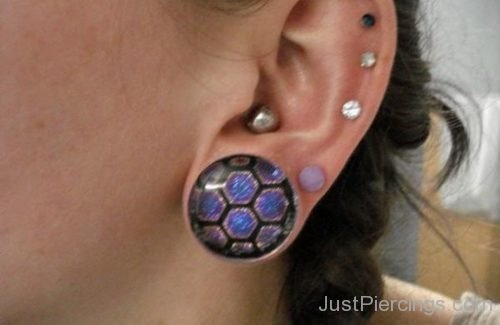 Conch Piercing And Stretched Lobes-JP1041