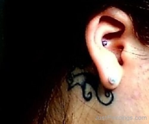 Conch Piercing And Tattoo For Young-JP1076
