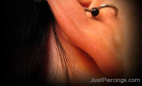 Conch Piercing Close Up-JP1050