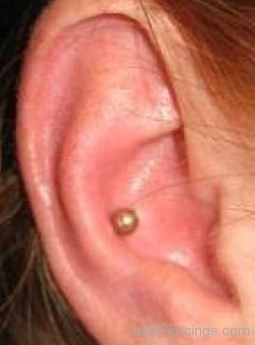 Conch Piercing With Gold-JP1095