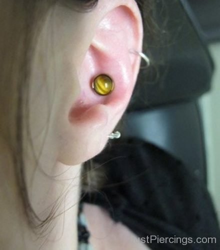 Conch Piercing With Yellow Labret Stud-JP1068