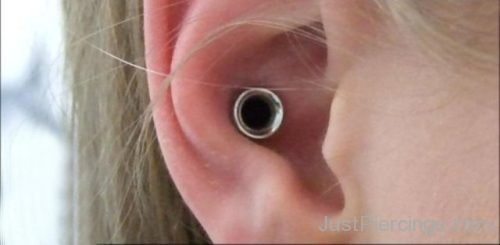 Conch Stretching On Ear-JP1102