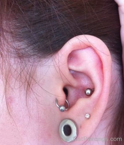 Conch,Tragus Piercing And Lobe Stretching-JP1090