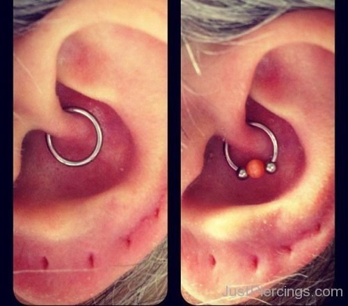 Daith Piercing WIth Ring And Ball Closure Ring-JP1247
